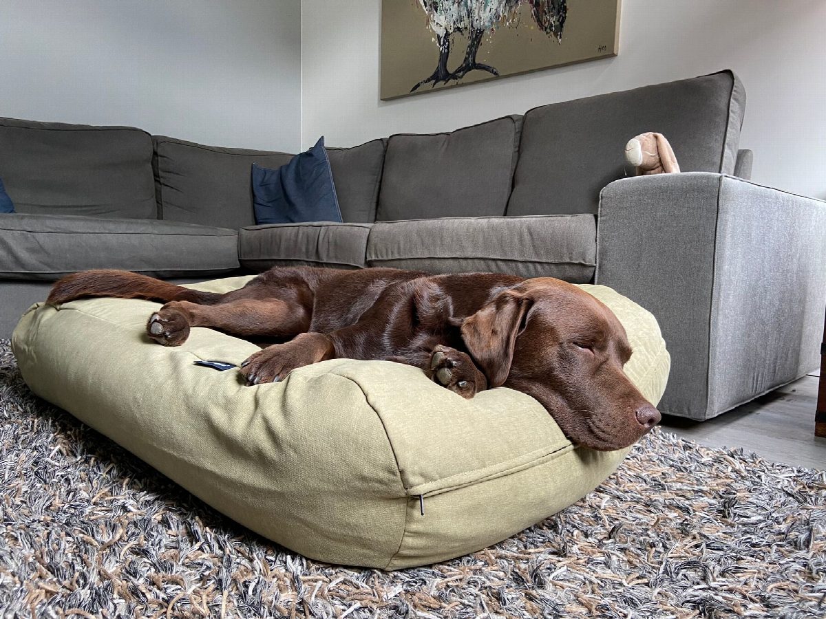 Dog's Companion® Hondenbed moss velvet extra small