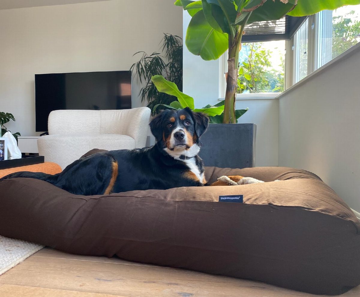Dog's Companion® Hondenkussen chocolade bruin