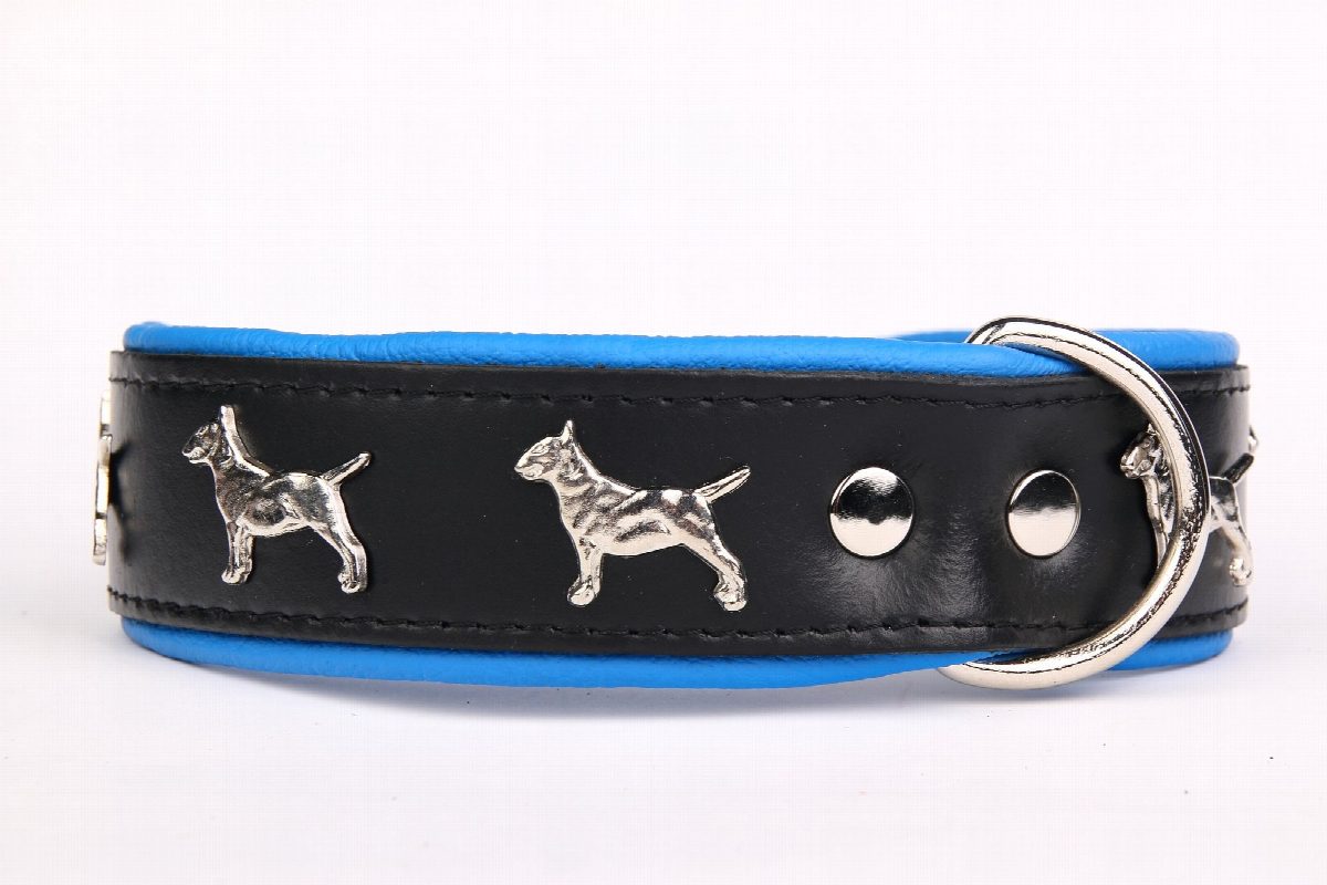 Leren halsband Bull Terriër