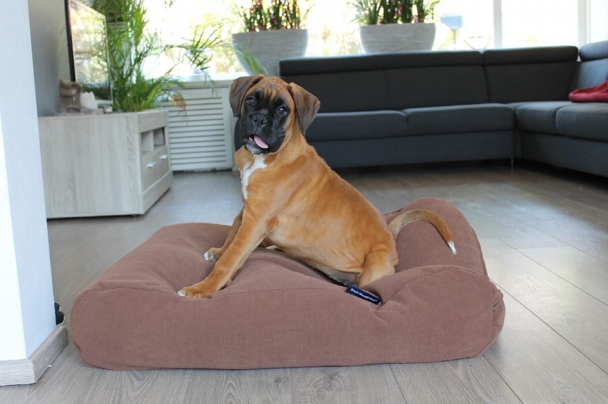 Dog's Companion® Hondenbed mokka (chenille velours) extra small