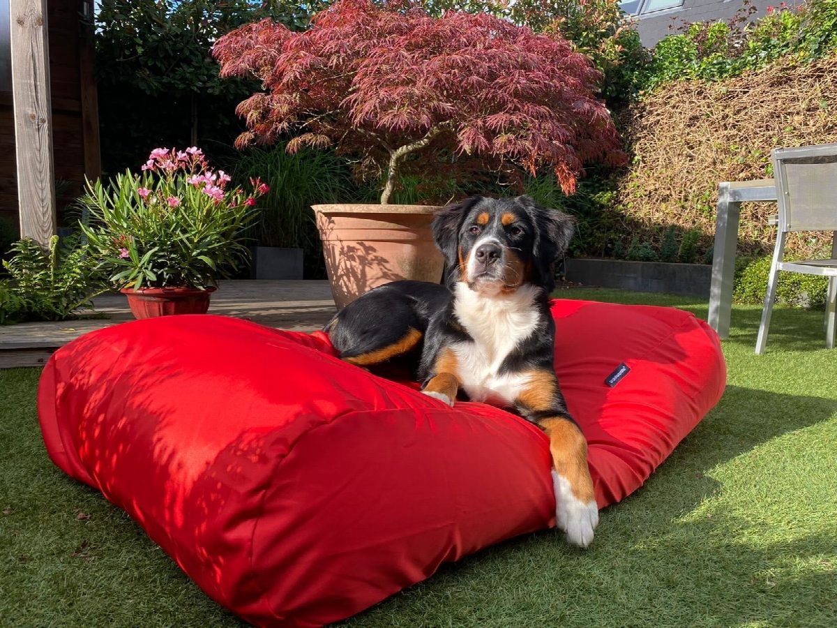 Dog's Companion® Hondenbed rood vuilafstotende coating large