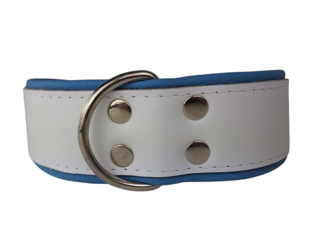 Leren hondenhalsband wit / lichtblauw