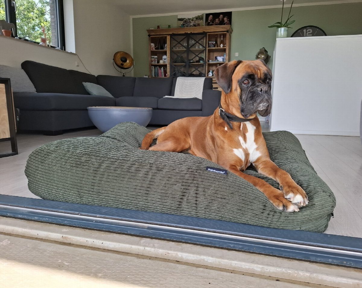 Dog's Companion® Hondenbed hunting double ribcord large