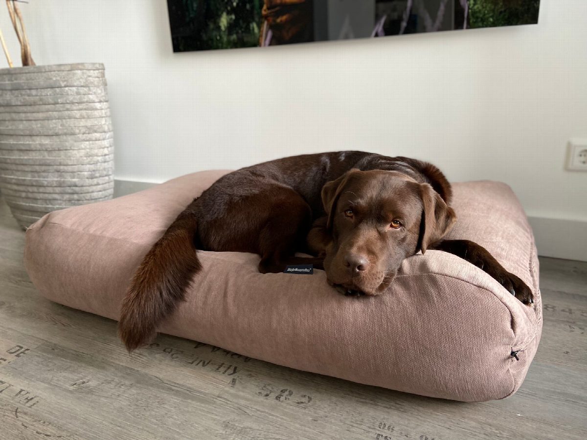 Dog's Companion® Hondenkussen cappuccino chenille velours