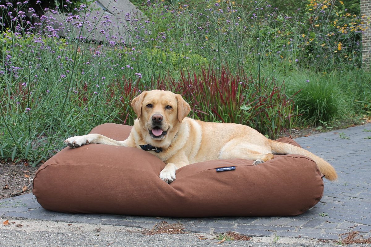 Dog's Companion® Hondenbed mokka extra small