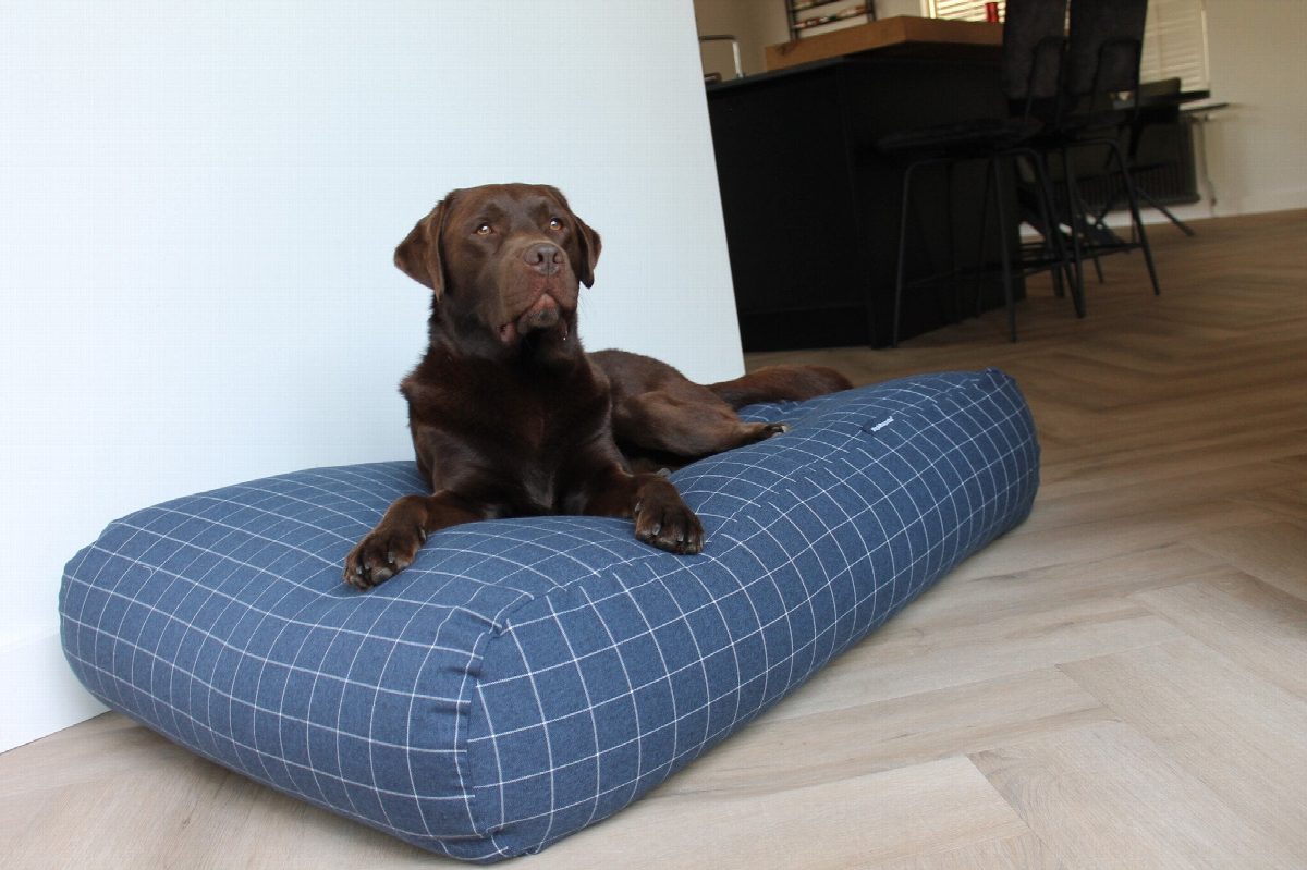 Dog's Companion® Hondenbed Manhattan mid blue large