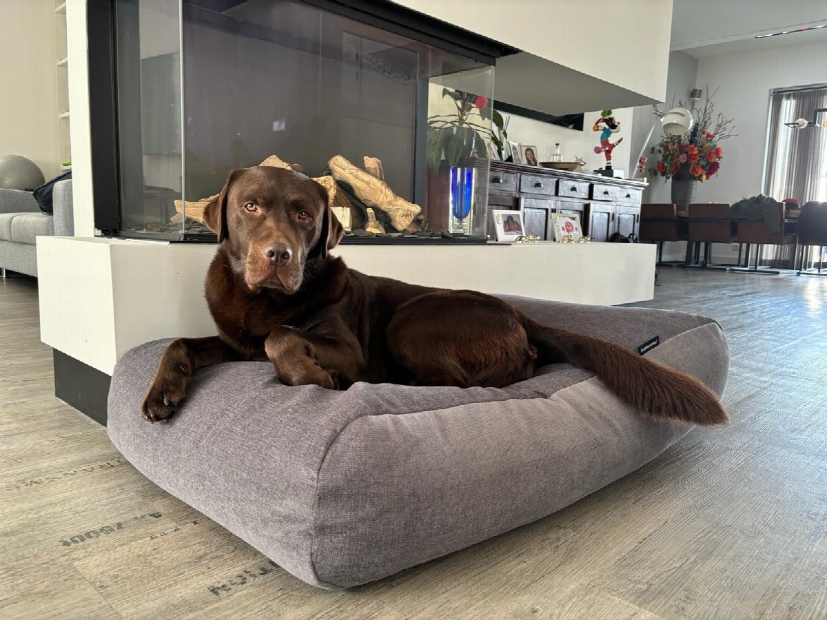 Dog's Companion® Hondenbed dark grey bouclé