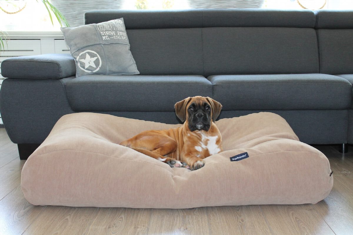 Dog's Companion® Hondenbed caramel (chenille velours) extra small