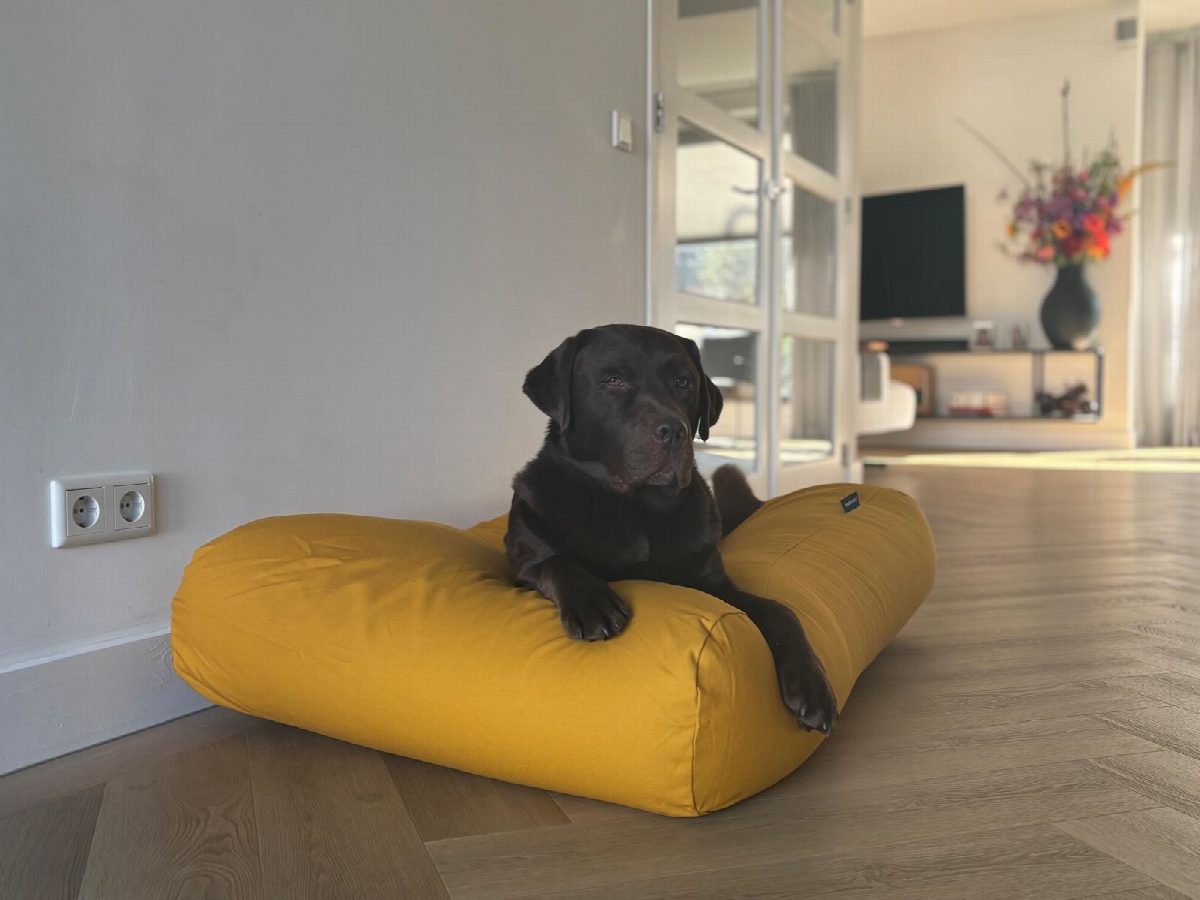 Dog's Companion® Hondenbed okergeel