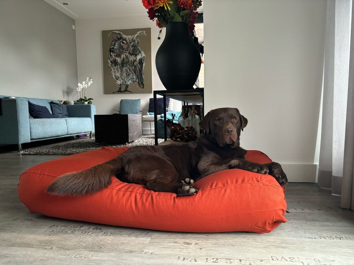 Dog's Companion® Hondenbed terracotta