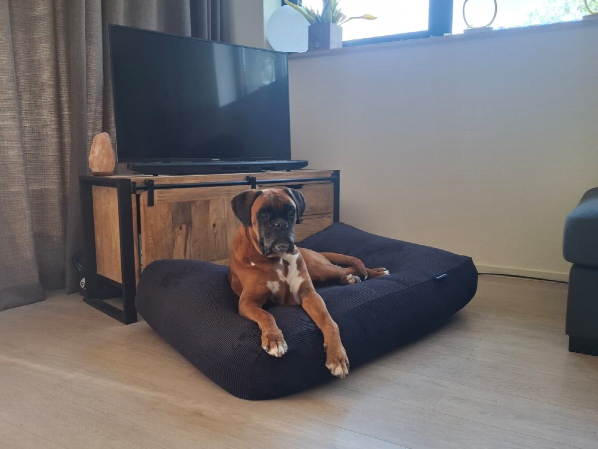 Dog's Companion® Hondenkussen zwart soft ribcord