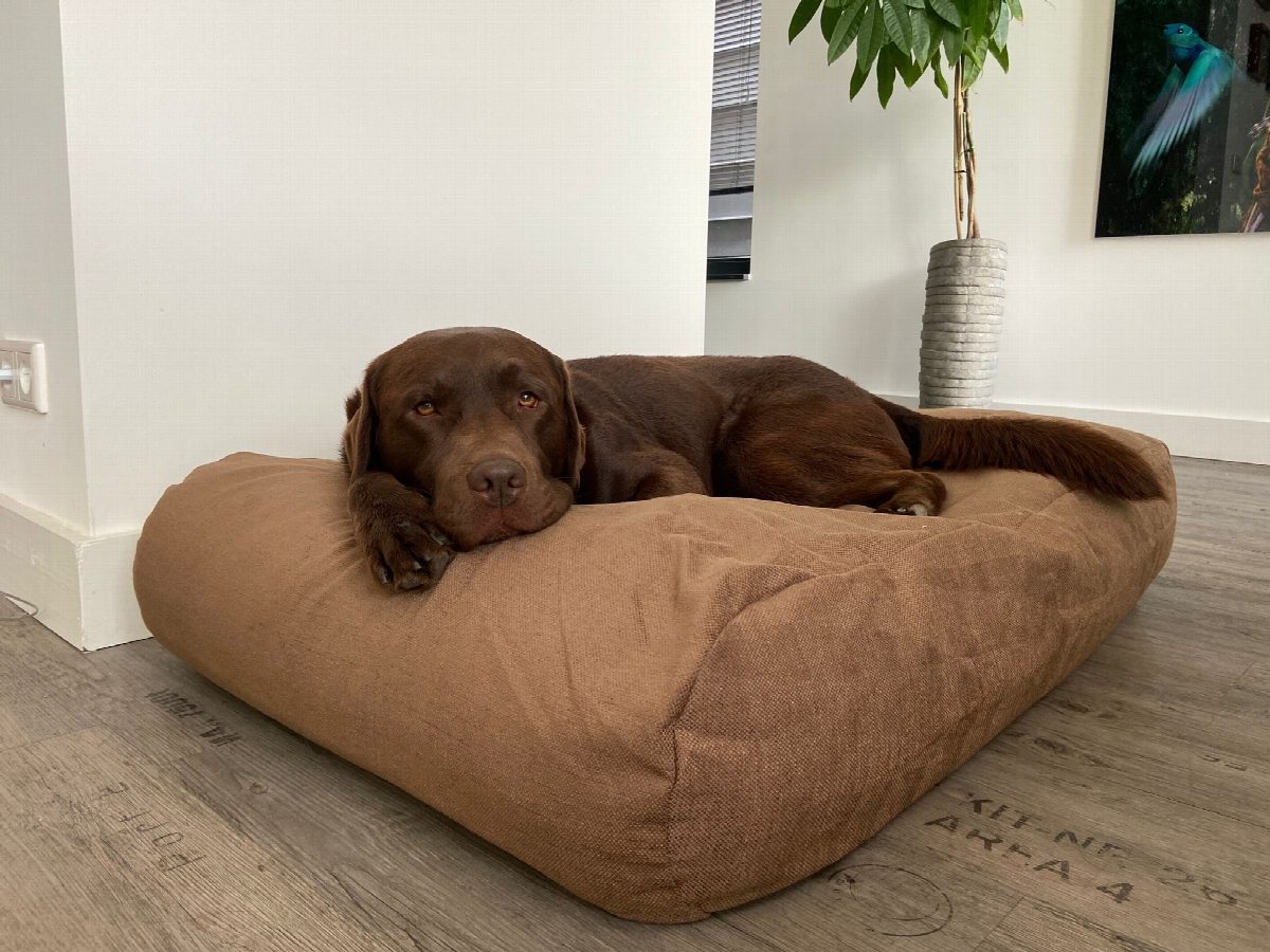 Dog's Companion® Hondenbed café latte meubelstof