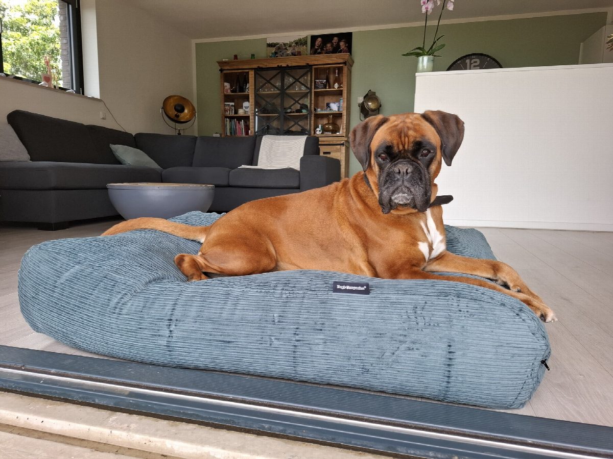 Dog's Companion® Hondenbed oud groen double ribcord