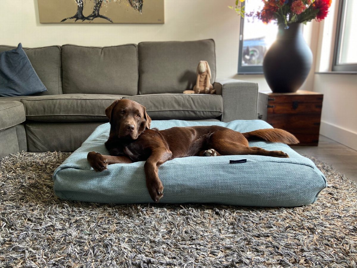 Dog's Companion® Hondenbed Copenhagen ocean