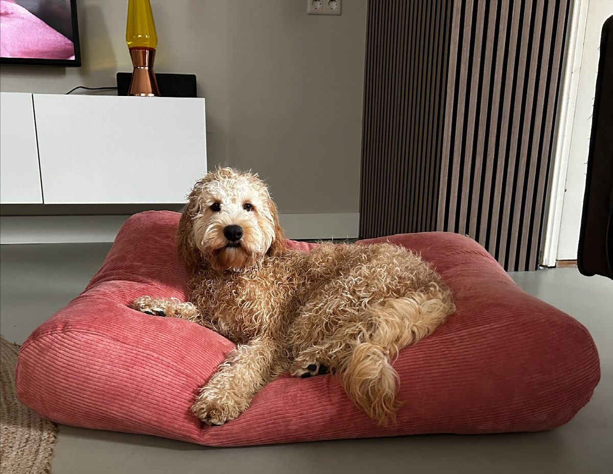 Dog's Companion® Hondenbed oud roze ribcord extra small