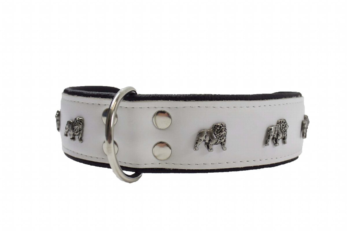 Leren halsband Engelse Bulldog