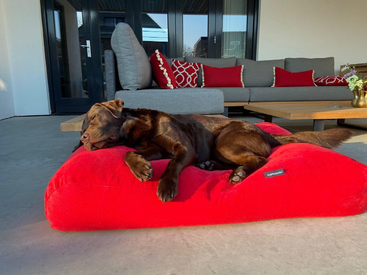 Dog's Companion® Hondenbed rood ribcord small