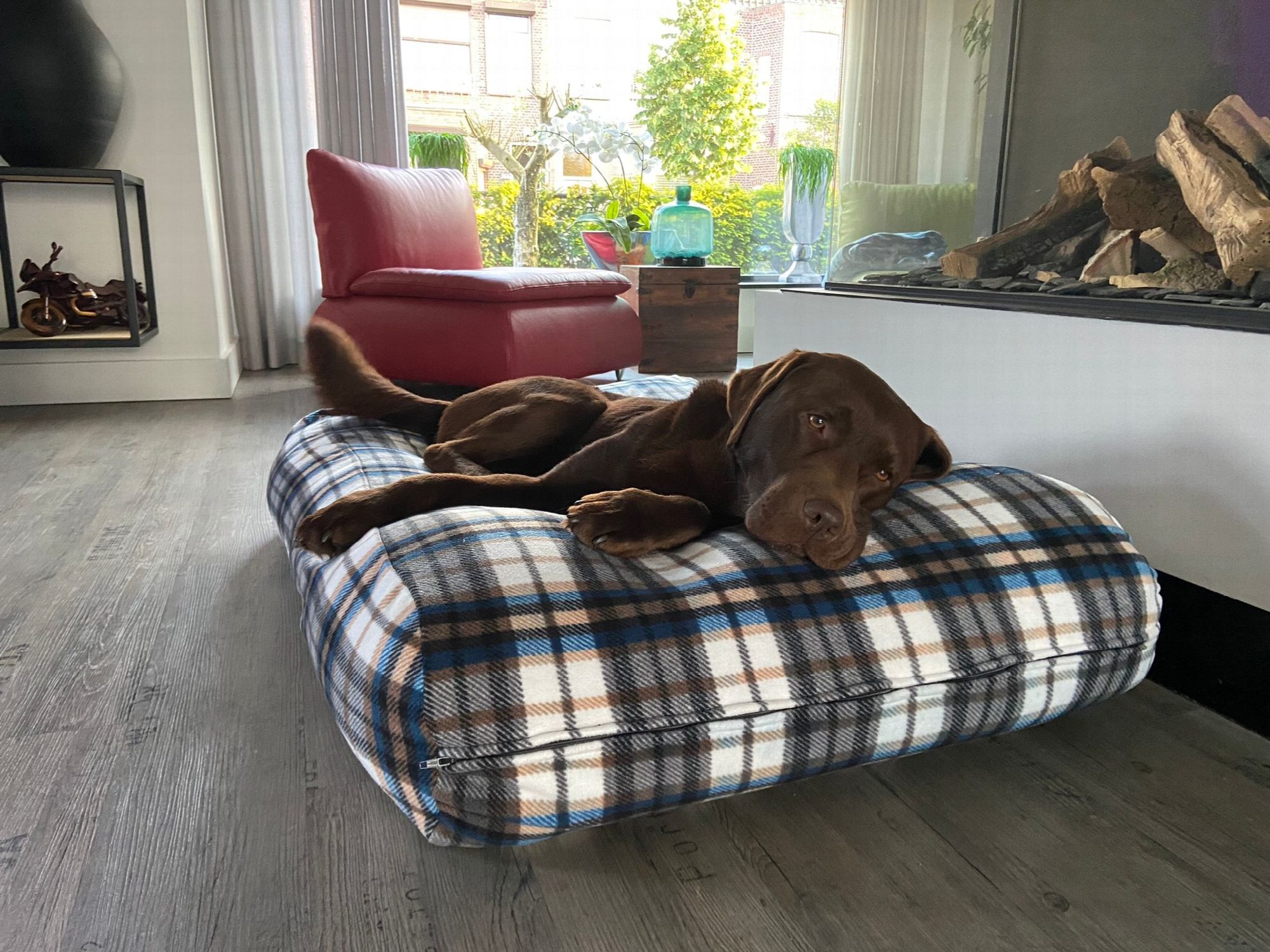 Dog's Companion® Hondenkussen fleece cosy tartan