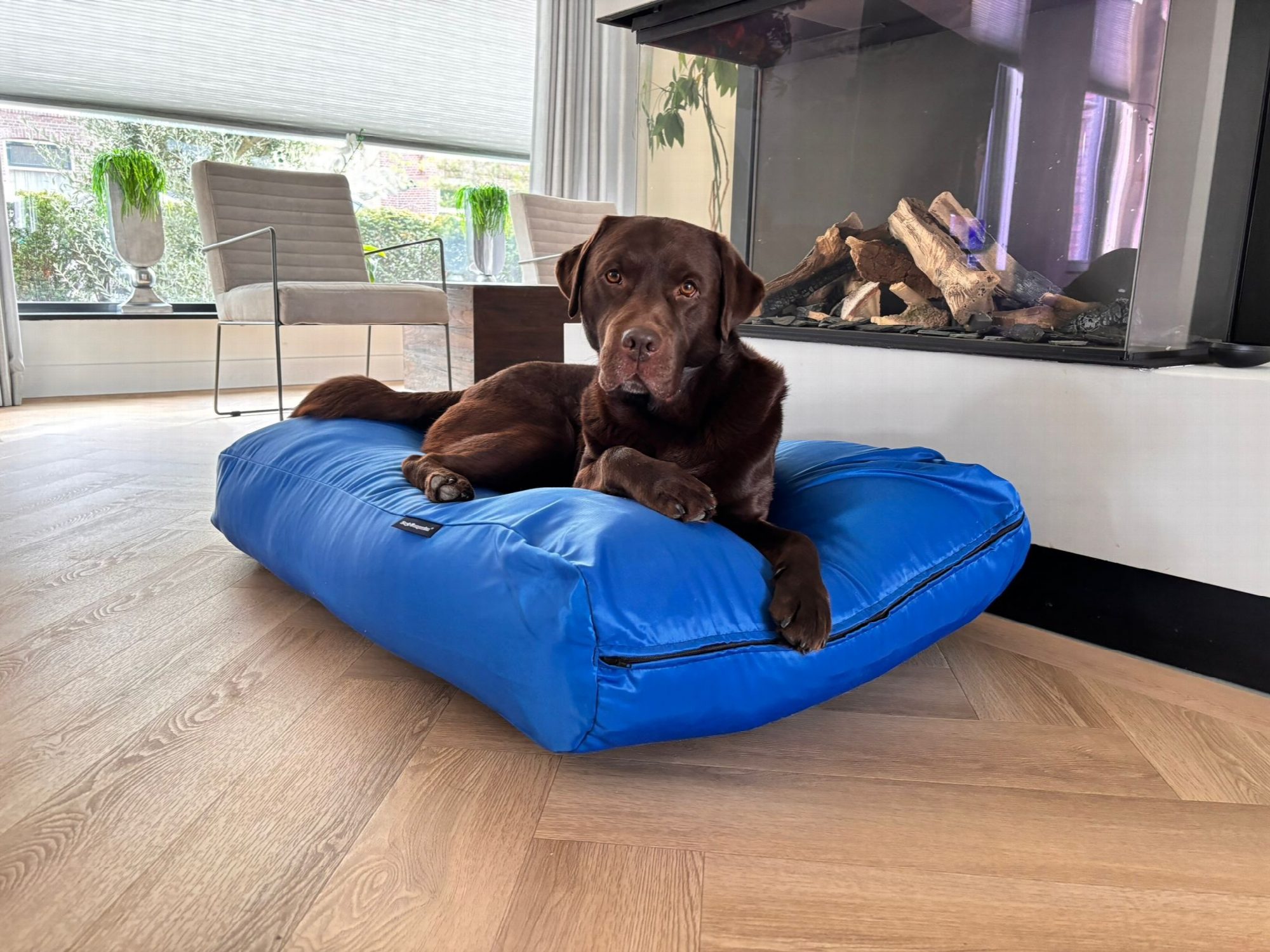 Dog's Companion® Hondenkussen kobalt blauw vuilafstotende coating small