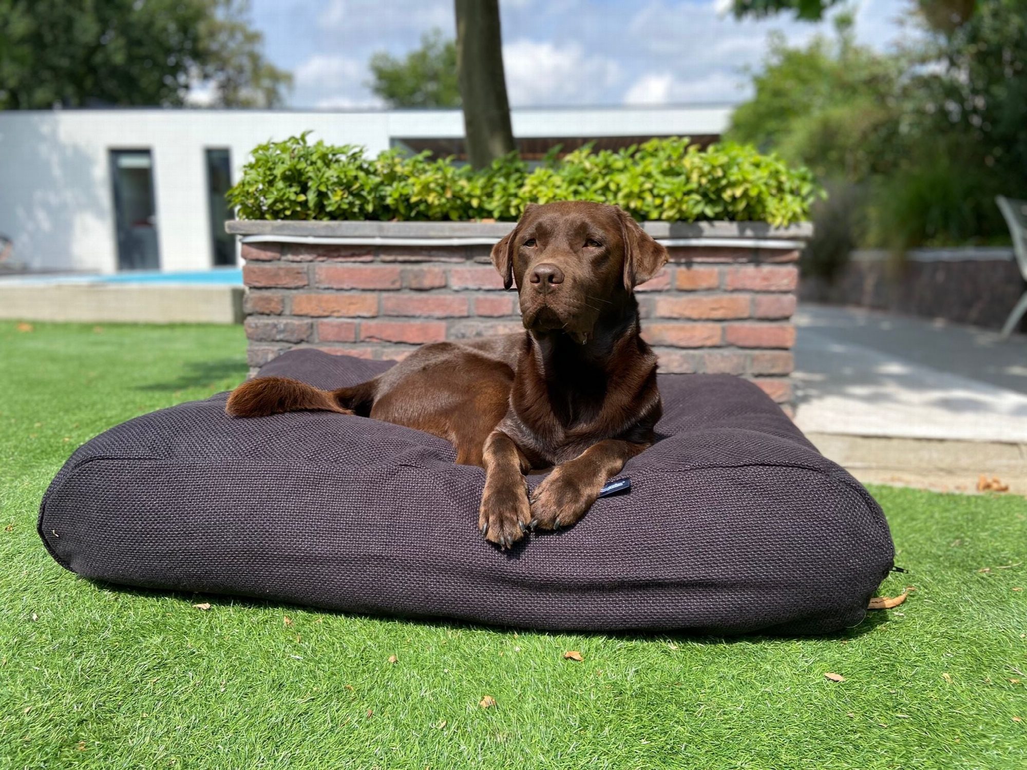 Dog's Companion® Hondenbed Copenhagen black