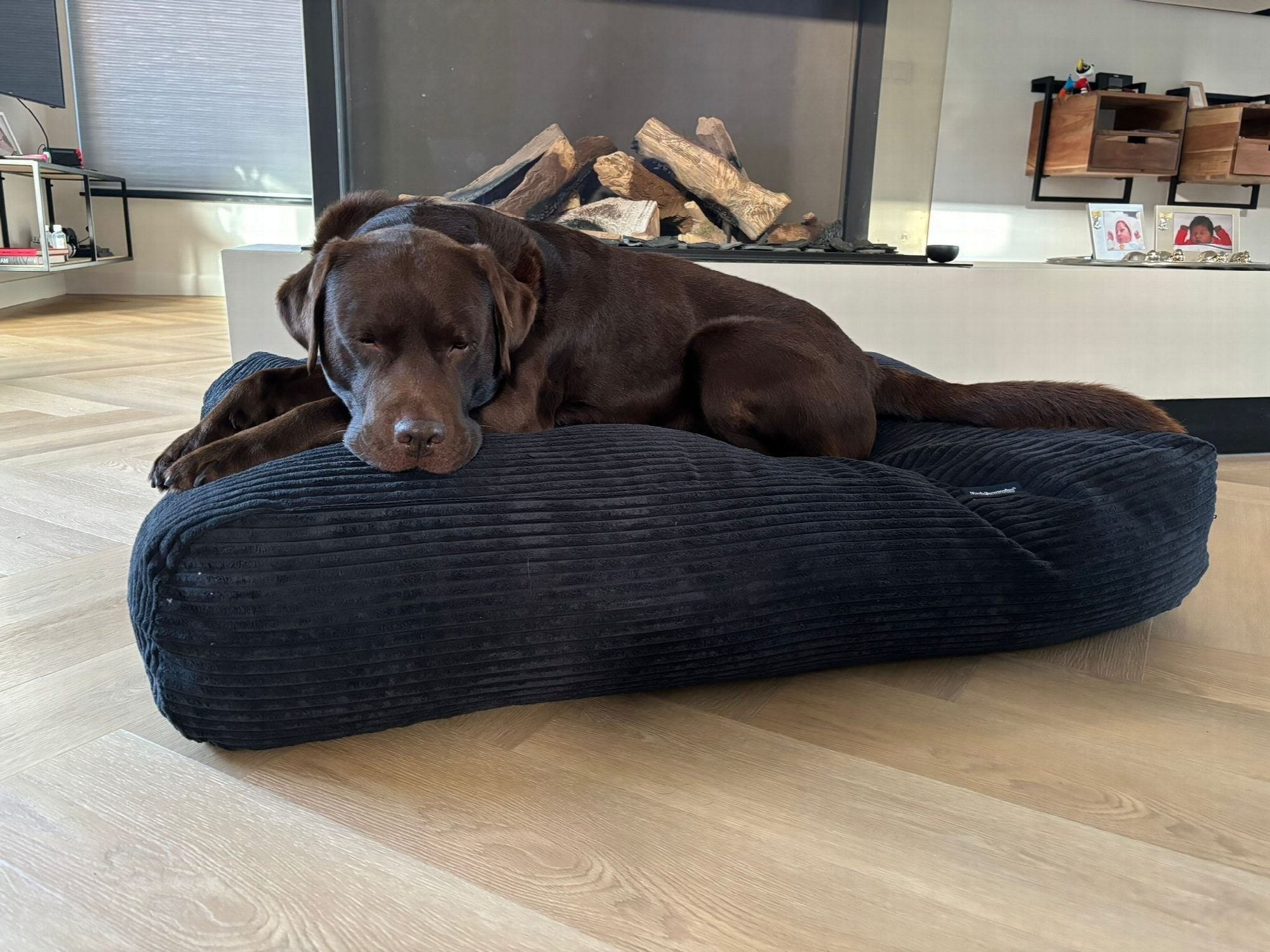 Dog's Companion® Hondenbed black giant ribcord medium