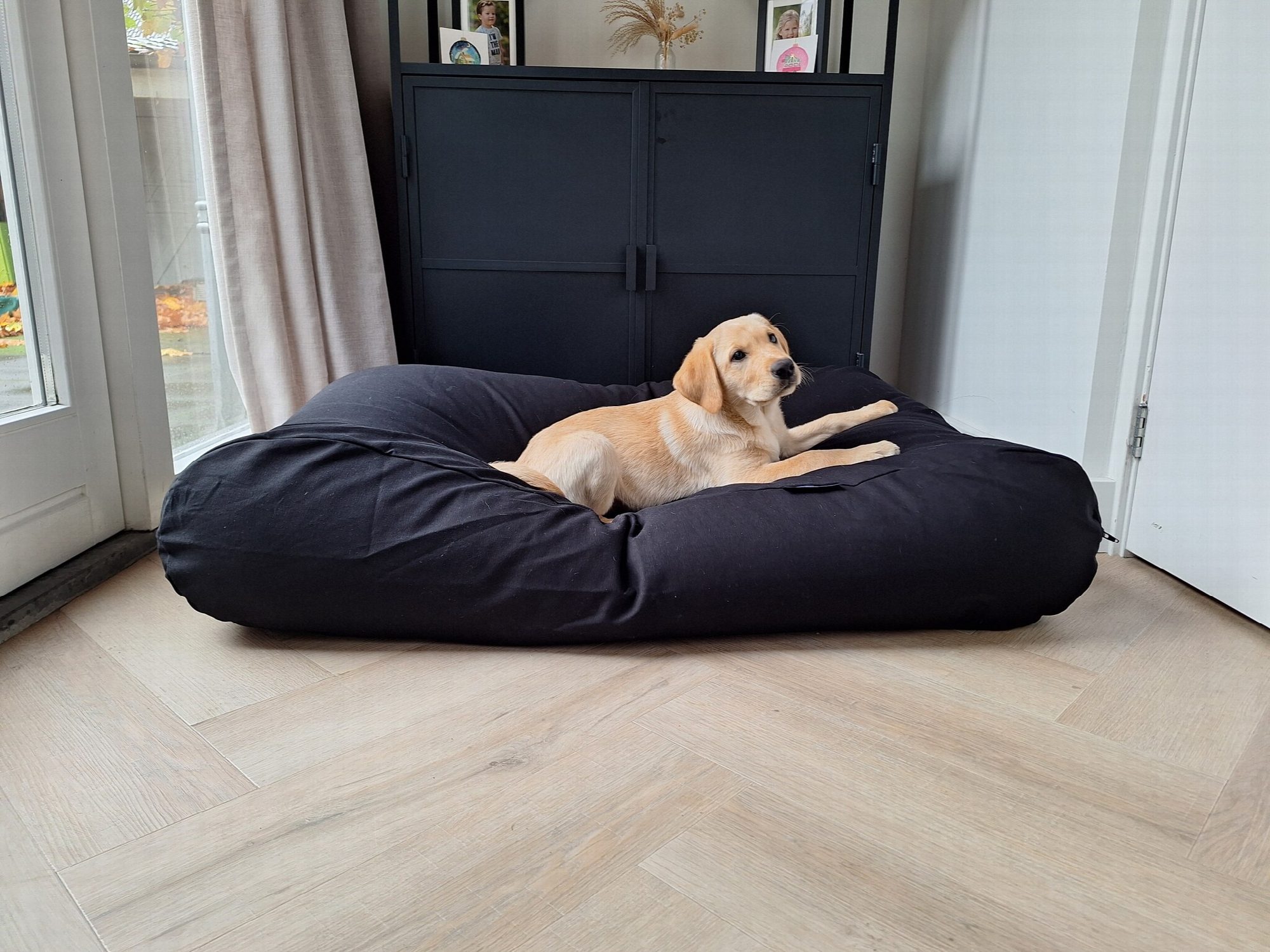 Dog's Companion® Hondenbed zwart extra small