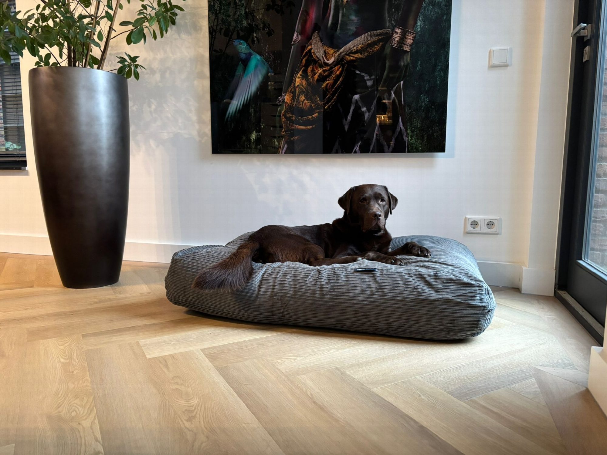 Dog's Companion® Hondenbed muisgrijs double ribcord