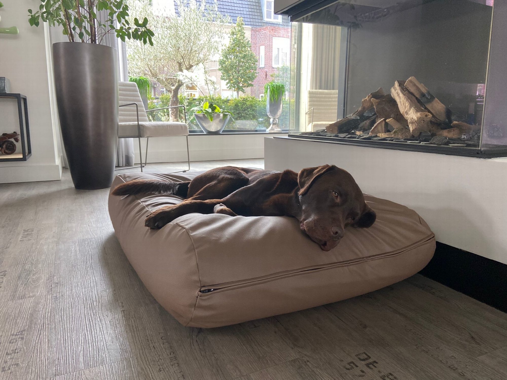 Dog's Companion® Hondenbed taupe leather look medium