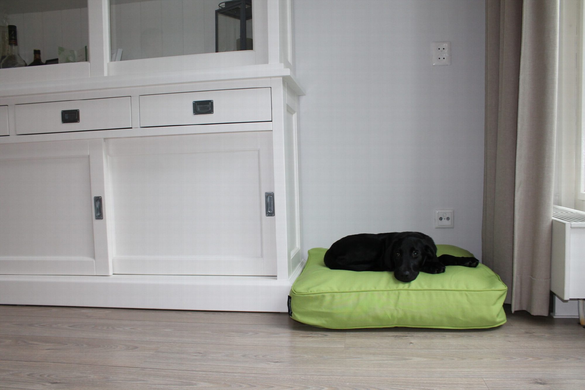 Dog's Companion® Benchkussen 68 x 62 x 10 cm lime