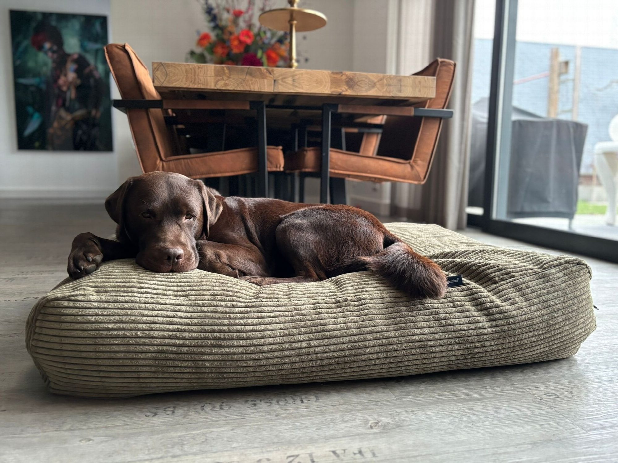 Dog's Companion® Hondenbed olive giant ribcord medium