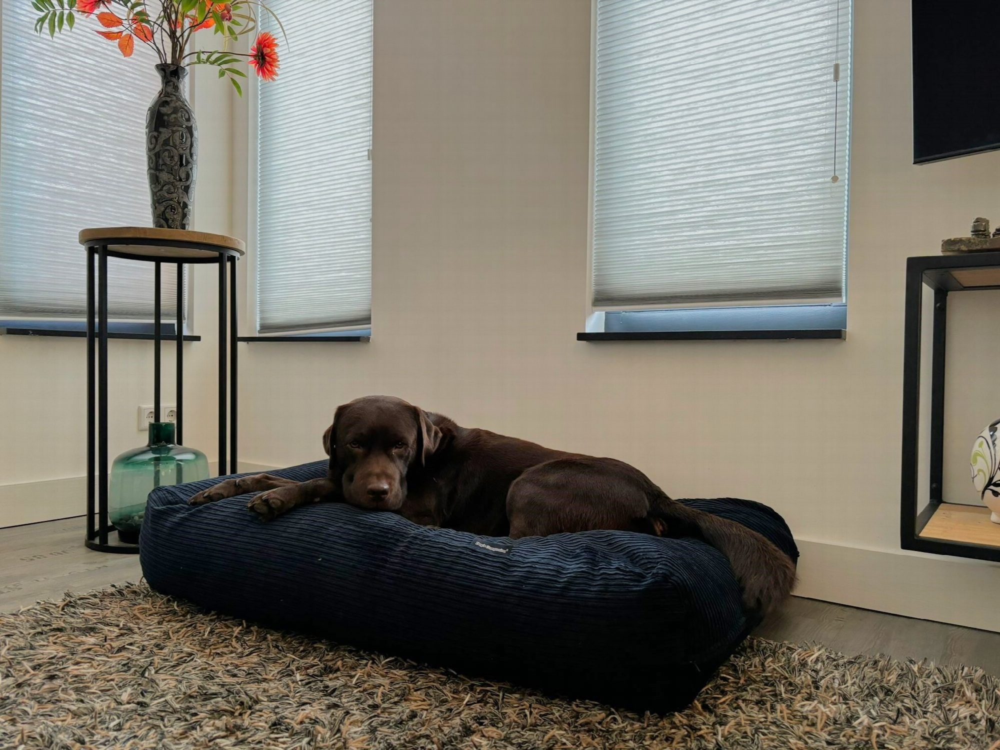Dog's Companion® Hondenbed donkerblauw double ribcord superlarge