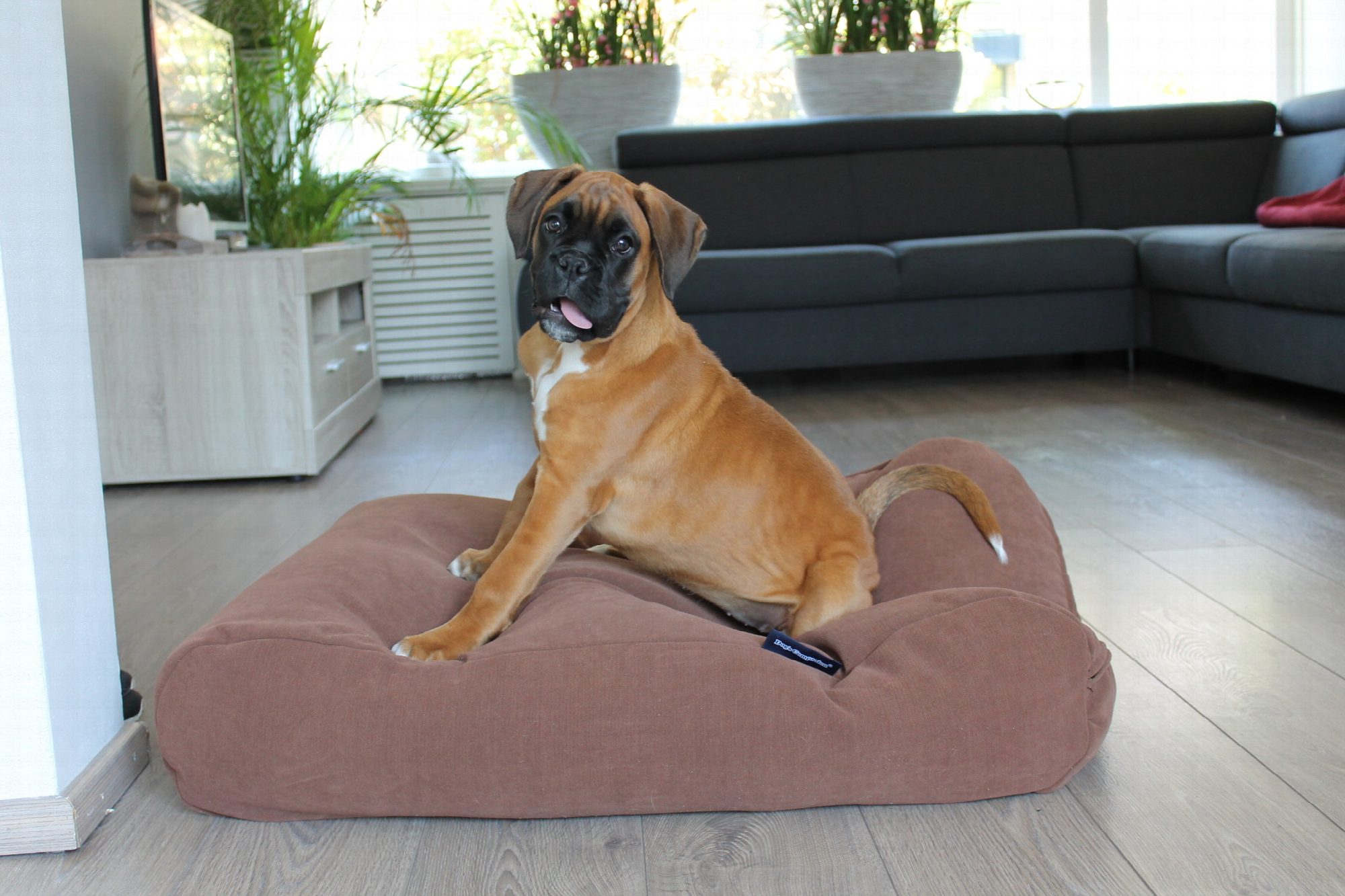 Dog's Companion® Hondenbed mokka (chenille velours) extra small