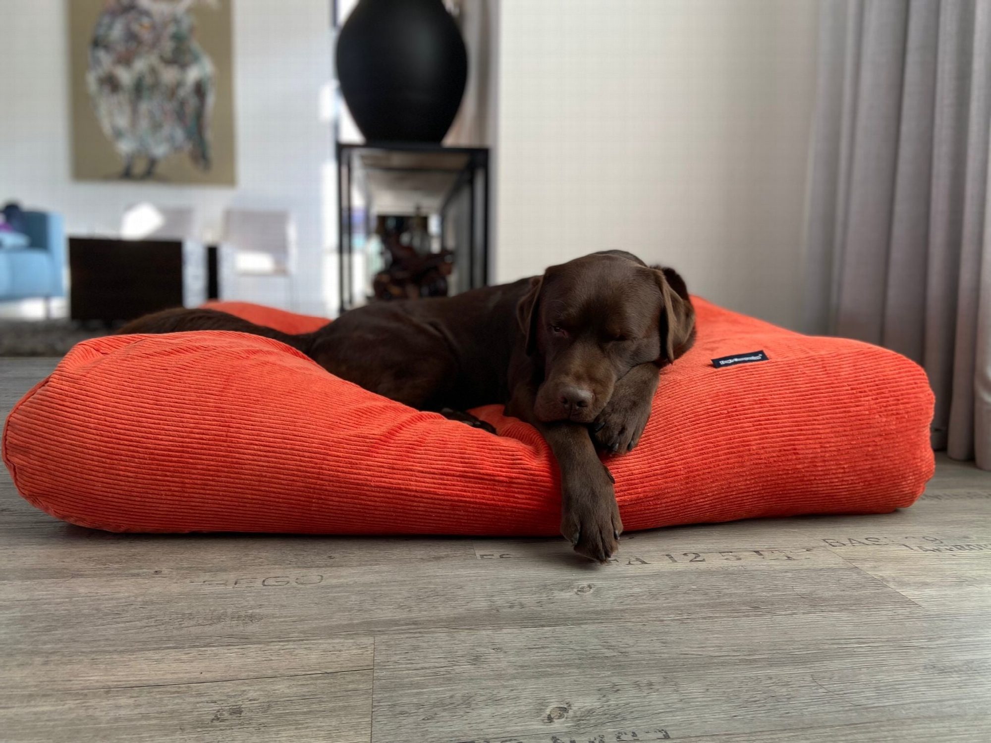 Dog's Companion® Hondenbed oranje ribcord
