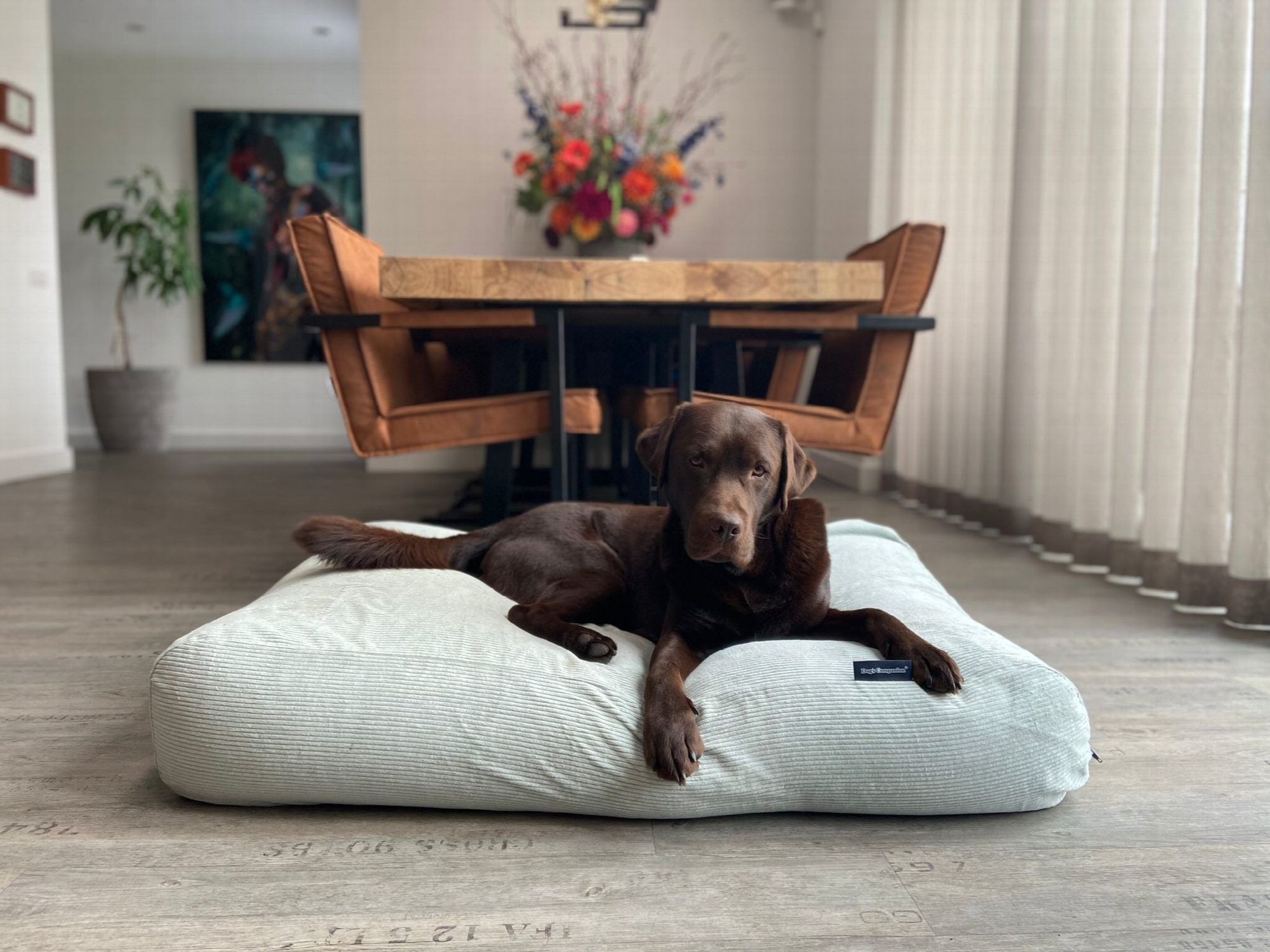 Dog's Companion® Hondenbed cool mintgroen ribcord small