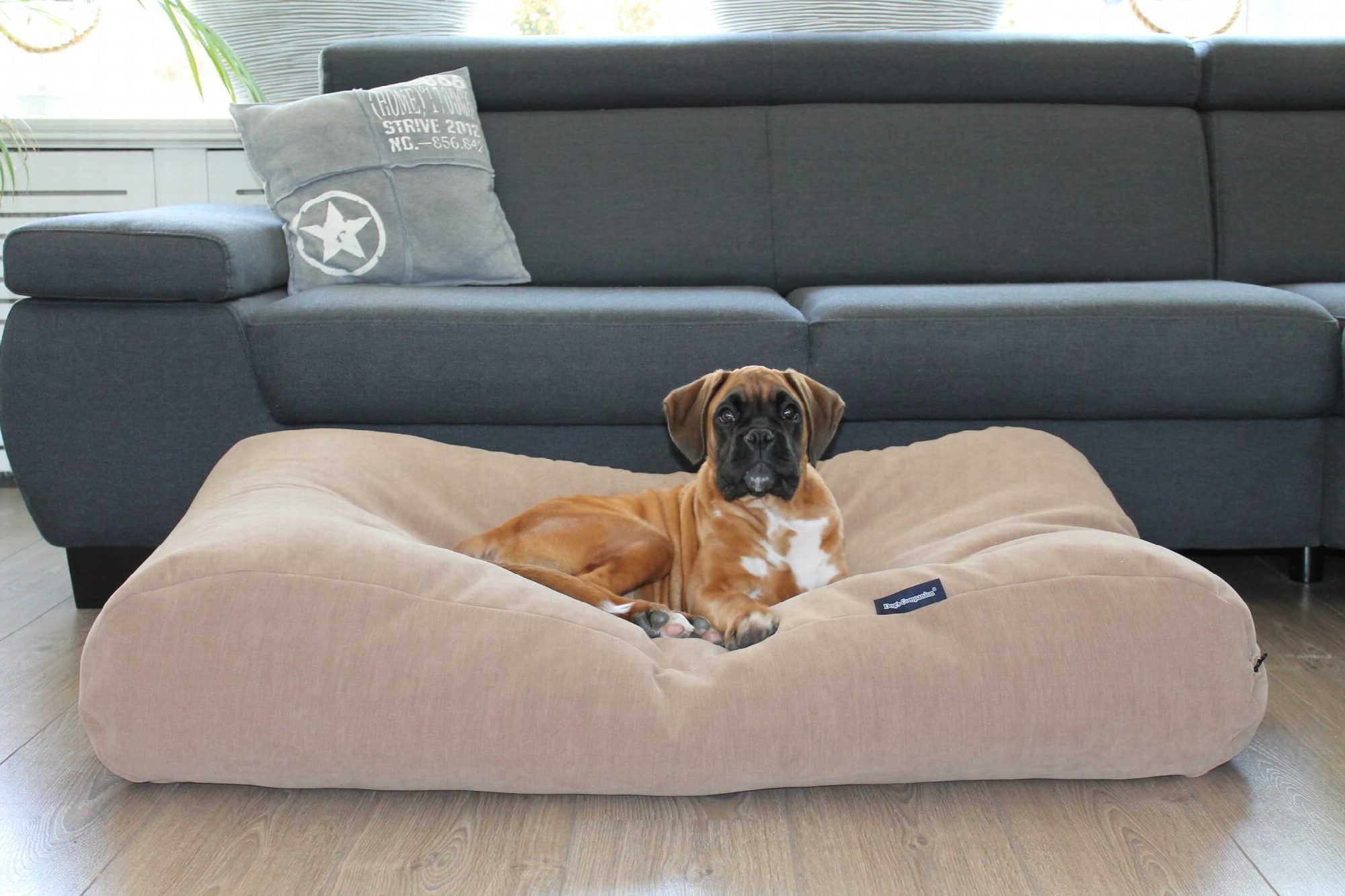 Dog's Companion® Hondenbed caramel (chenille velours) extra small
