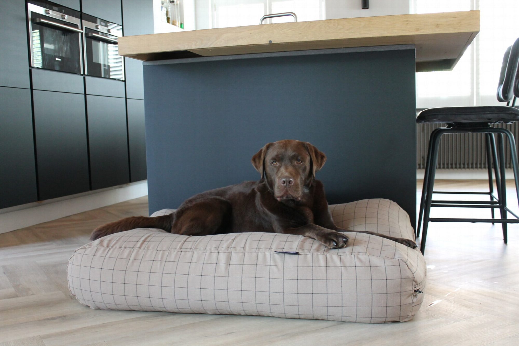 Dog's Companion® Hondenbed Manhattan camel extra small