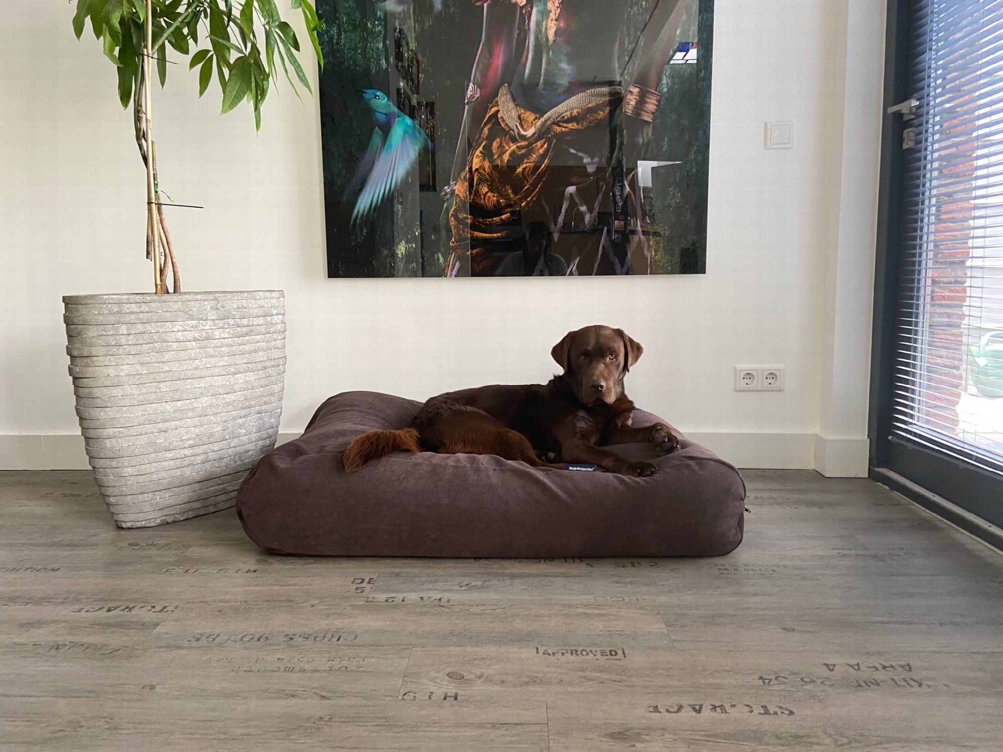 Dog's Companion® Hondenbed soft brown chenille velvet