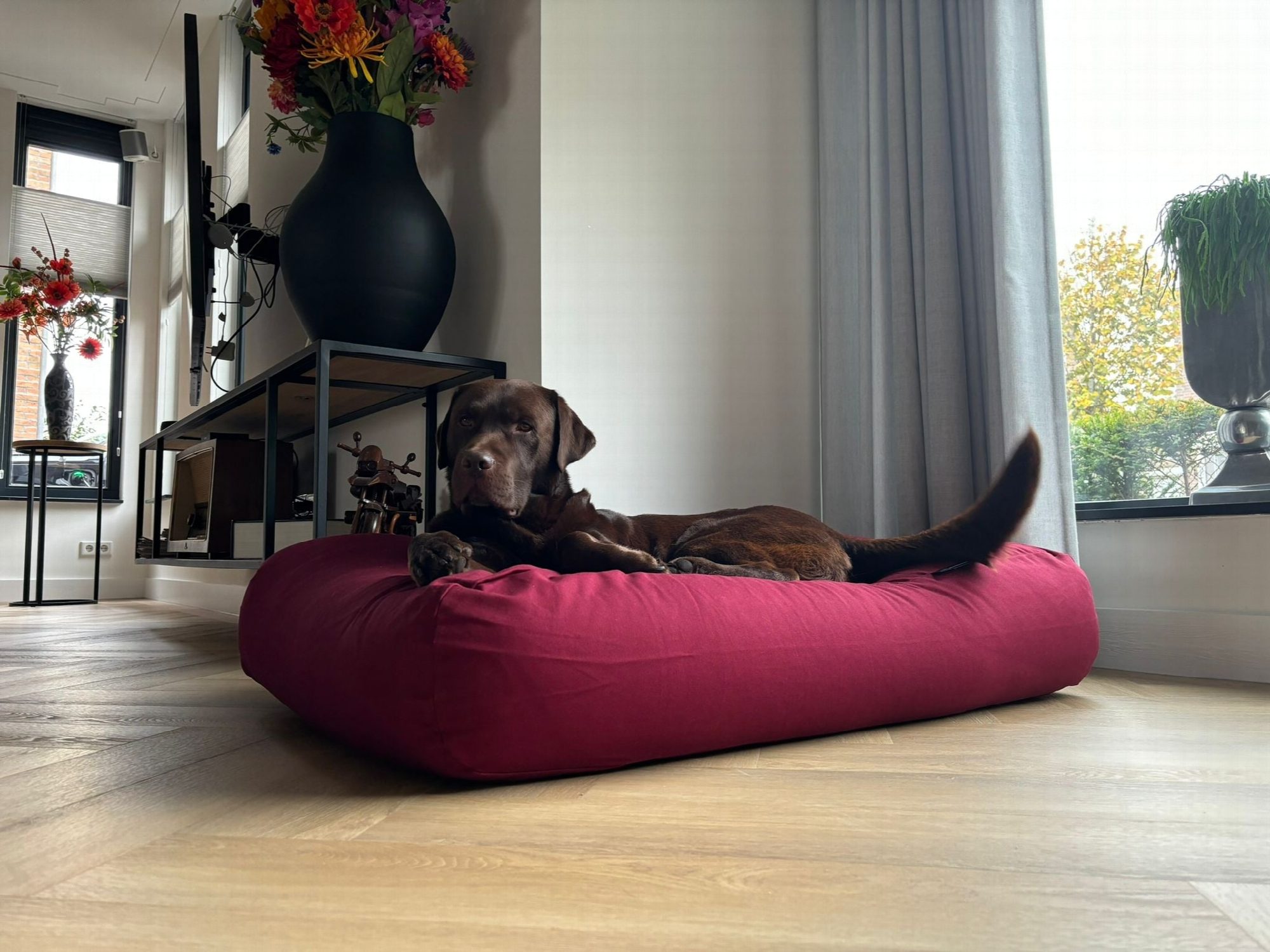 Dog's Companion® Hondenbed wijnrood extra small