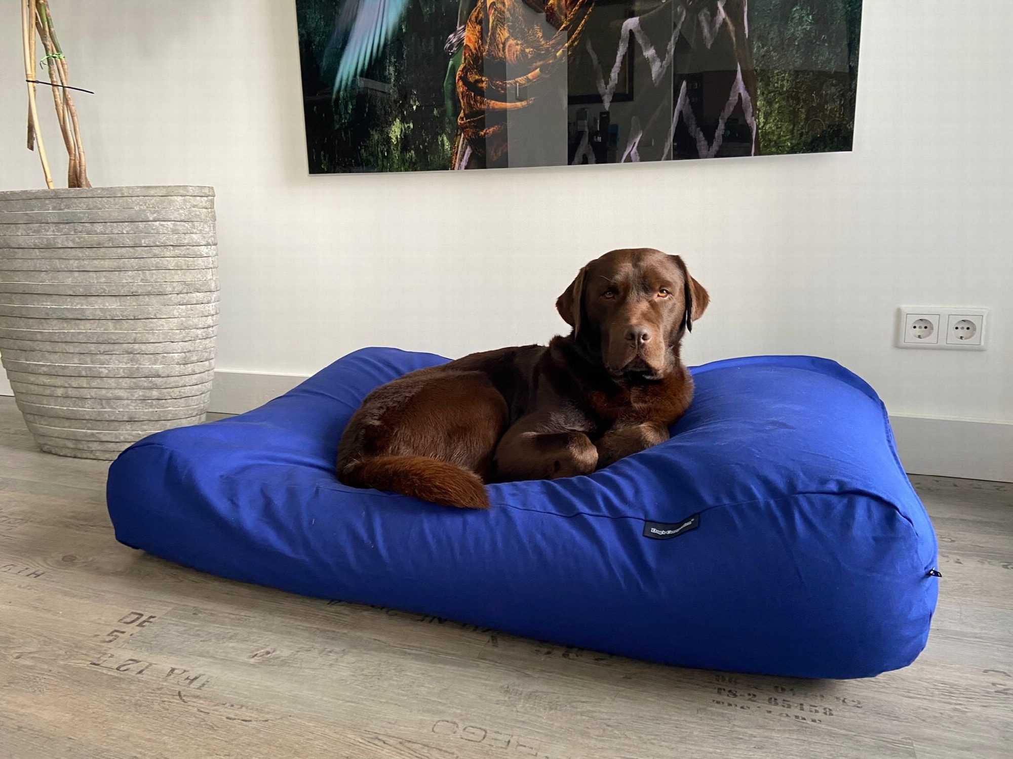 Dog's Companion® Hondenbed royal blue extra small