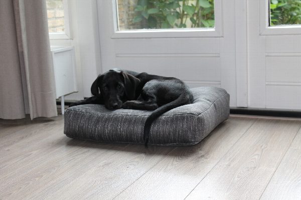 Dog's Companion® Tweet donkergrijs benchkussen 58 x 45 x 12 cm