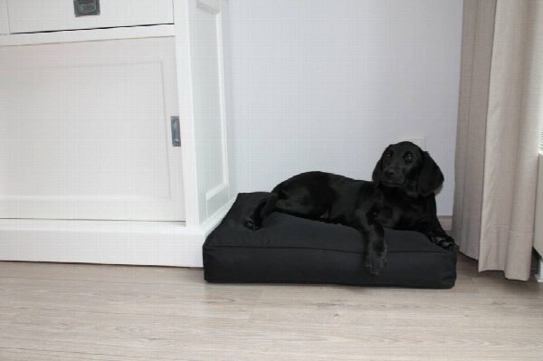Dog's Companion® Zwart benchkussen 65 x 50 x 10 cm