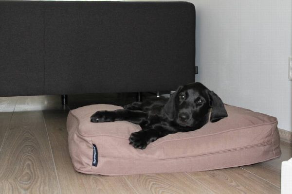 Dog's Companion® Benchkussen 68 x 62 x 10 cm taupe