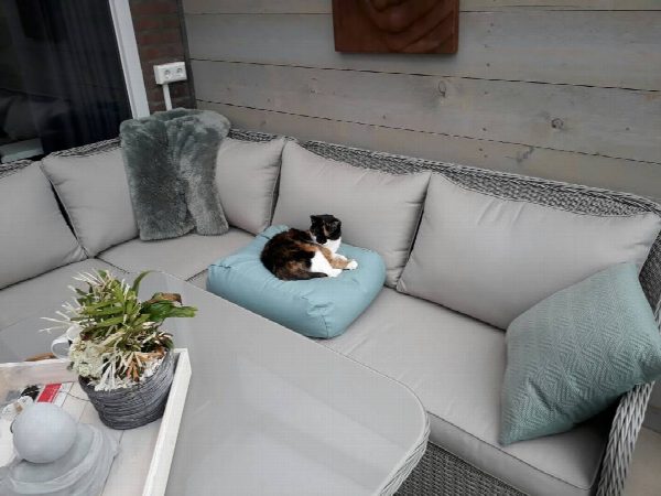 Dog's Companion® Kattenkussen ocean