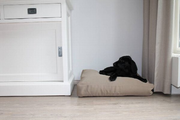 Dog's Companion® Beige benchkussen 58 x 45 x 12 cm